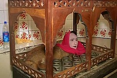 Mi-renard, mi-femme, Mumtaz Begum prédit l’avenir au Pakistan Mi-renard, mi-femme, Mumtaz Begum prédit l’avenir au Pakistan